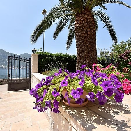 Maniva Penthouse By The Sea Leilighet Kotor Eksteriør bilde