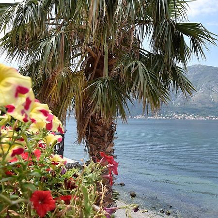 Maniva Penthouse By The Sea Leilighet Kotor Eksteriør bilde