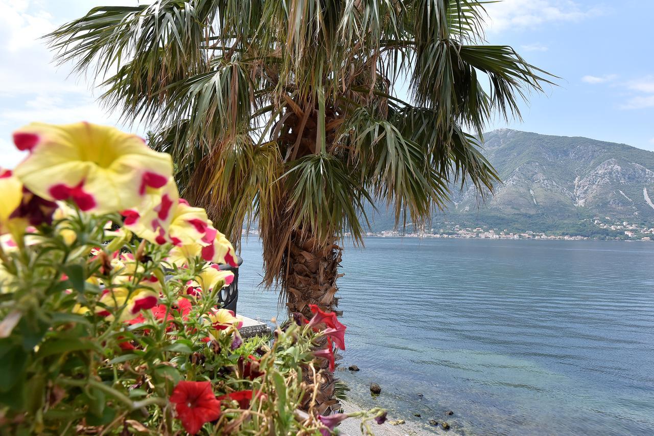 Maniva Penthouse By The Sea Leilighet Kotor Eksteriør bilde